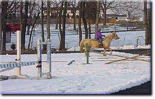 Merrymount Farms, Inc.